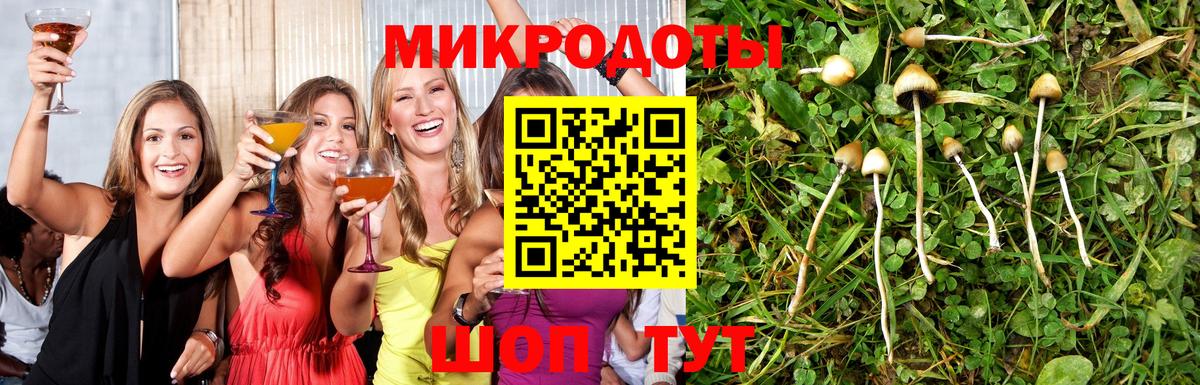 Галлюциногенные грибы ЛСД  Вход с VPN  Бийск  Псилоцибиновые грибы прущие грибы 