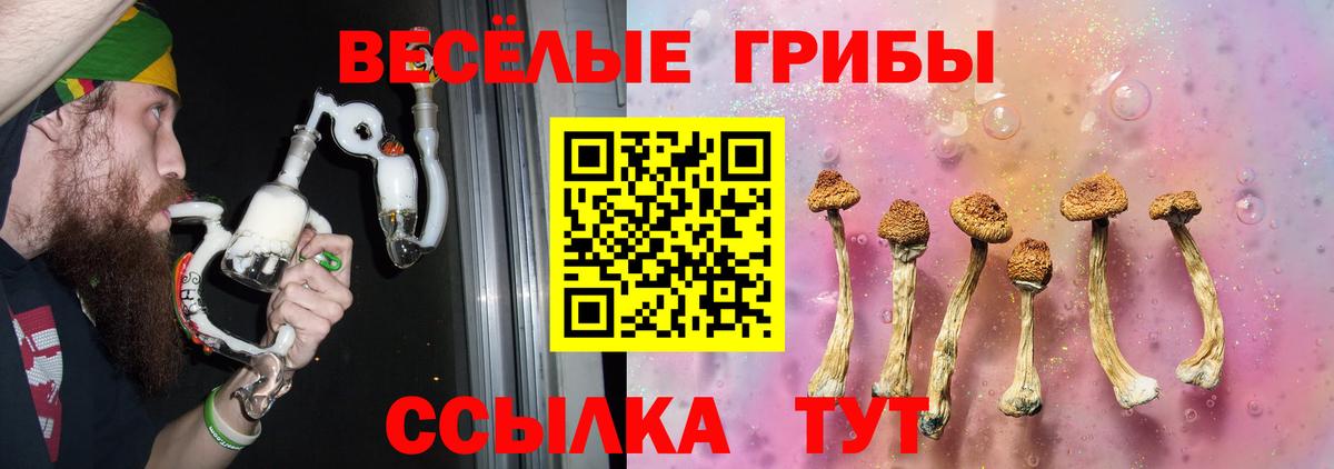 Псилоцибиновые грибы Cubensis Бийск